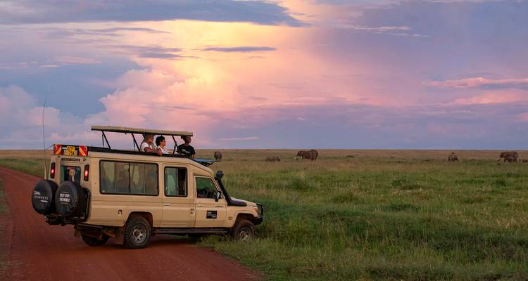Een safarivoertuig dat door een landschap rijdt met olifanten in de verte bij zonsondergang.