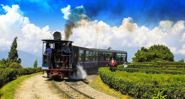 Tren vintage navegando a través de plantaciones de té
