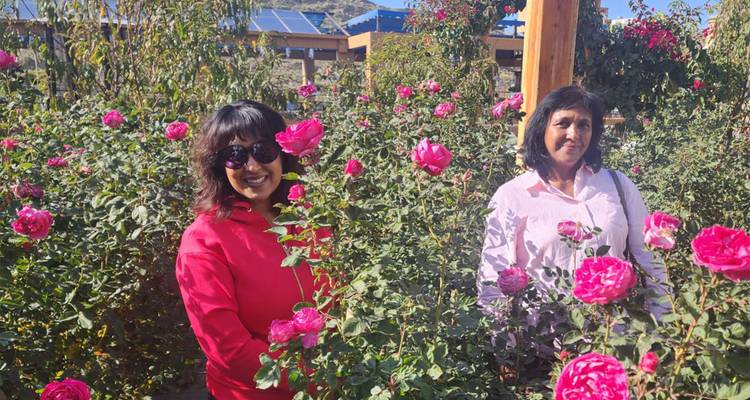 Deux femmes se tenant debout parmi des buissons de fleurs roses éclatantes.
