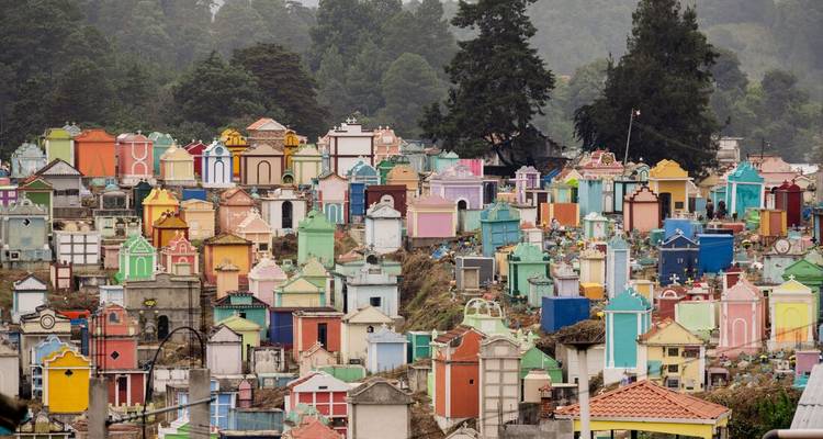 Cimetière coloré avec des mausolées aux teintes variées dans un environnement luxuriant.