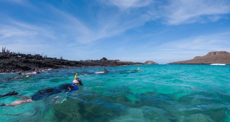 People snorkeling in clear turquoise waters near rocky shores.