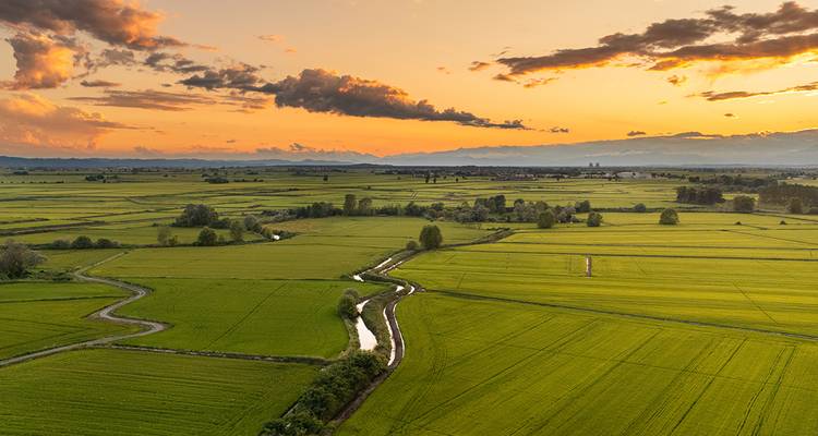 Vastes champs avec un petit ruisseau et des montagnes au coucher du soleil.