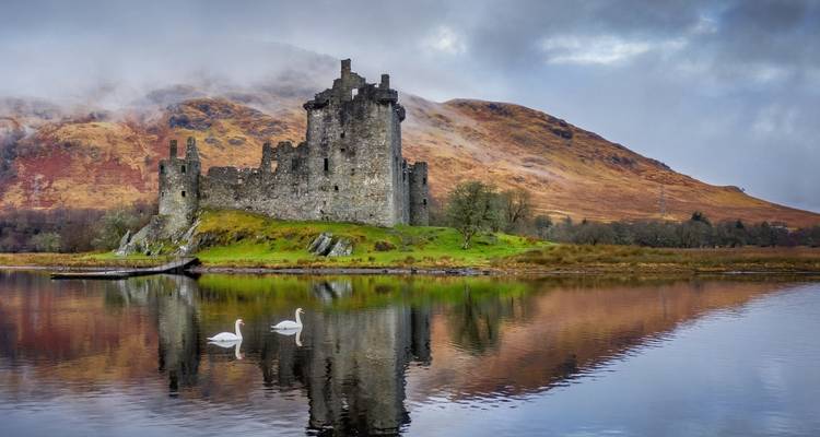 Une ruine de château sur une colline brumeuse se reflétant dans l'eau avec des cygnes.