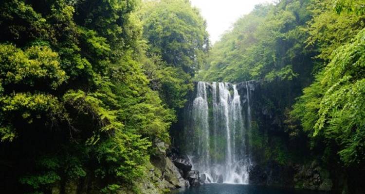 A lush waterfall surrounded by dense greenery.