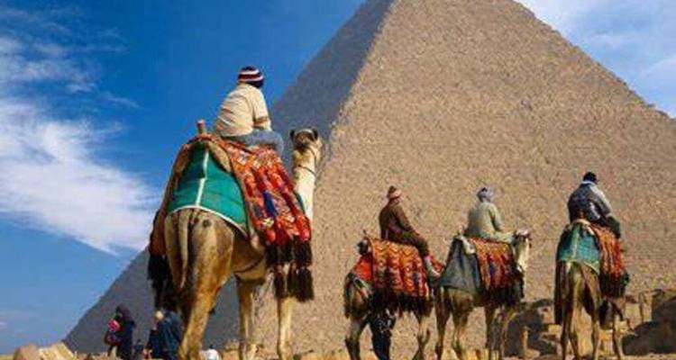 Chameaux près d'une pyramide.