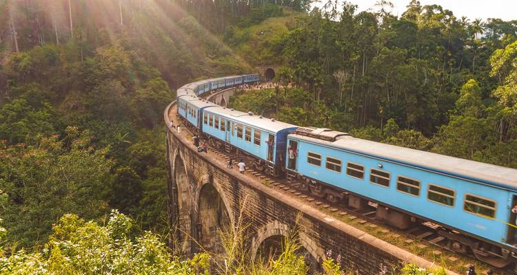 Train traversant un viaduc dans un paysage verdoyant.