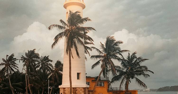 Phare avec palmiers sous un ciel couvert.