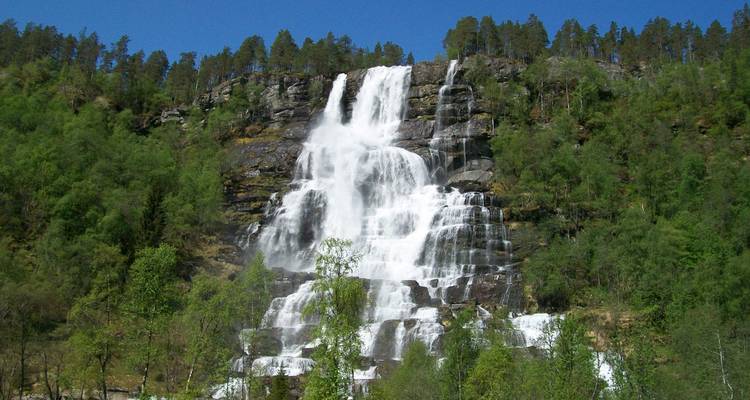 Une cascade en cascades dans un cadre forestier luxuriant.