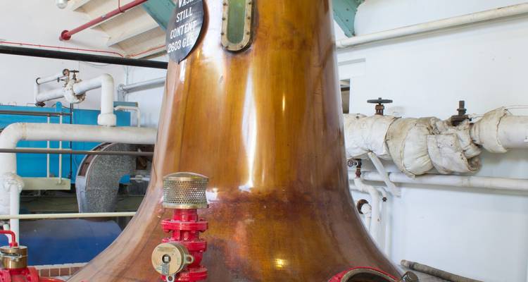 Copper still inside a distillery with pipes and machinery.