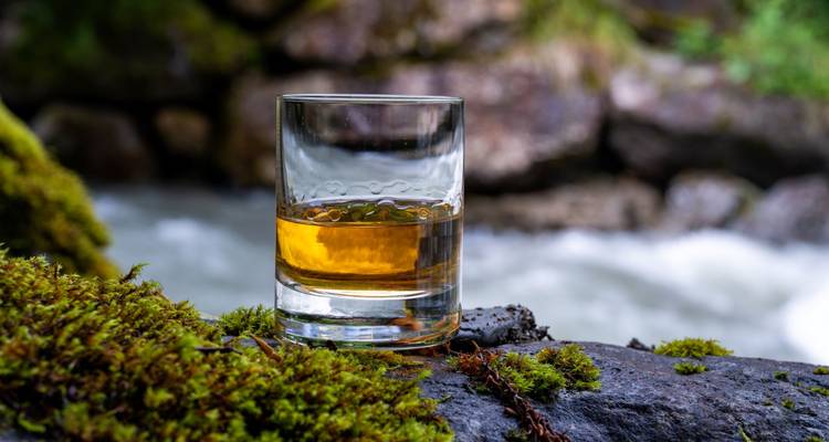 Glass of whiskey placed on moss by a river.