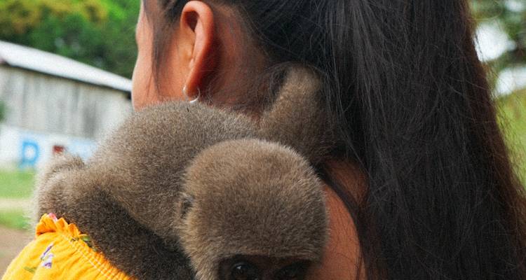 Enfant tenant un petit singe sur son épaule.