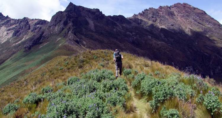 Eenzame wandelaar loopt langs een grasrijke bergkam richting ruige vulkanische toppen.