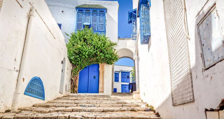 Traditional blue and white architecture with a cobblestone path.