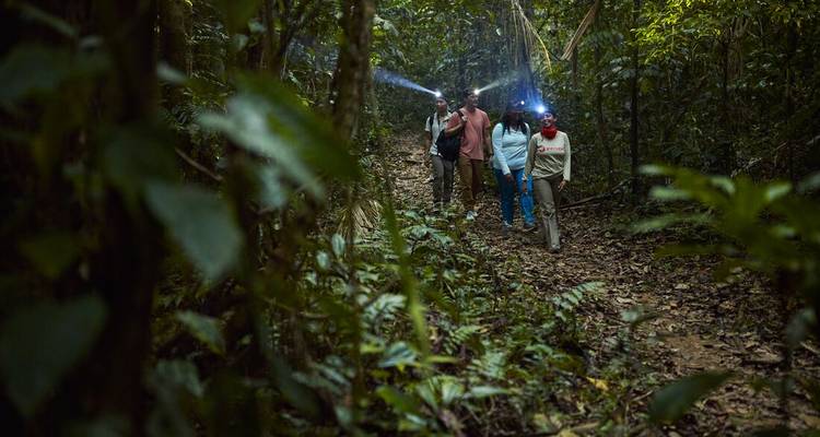 Group of people hiking through a dense jungle trail with flashlights.