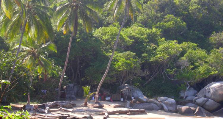 Une plage tropicale avec des palmiers et des rochers.