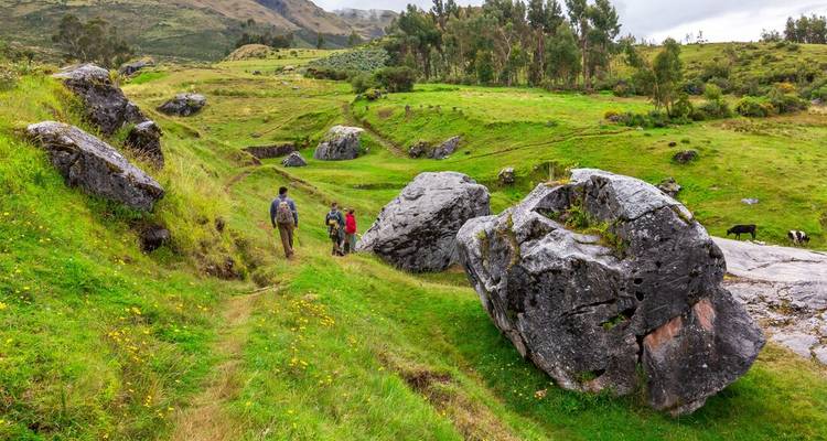 Des personnes faisant de la randonnée à travers une vallée verdoyante avec des arbres et des rochers éparpillés.