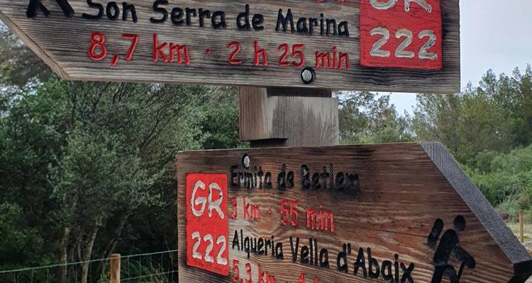 Panneaux de sentier en bois avec informations de destination et de distance.