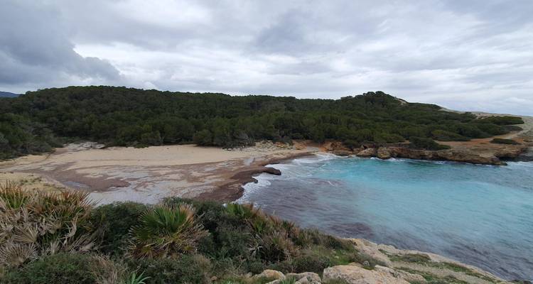Une plage isolée avec une eau turquoise et un environnement forestier.