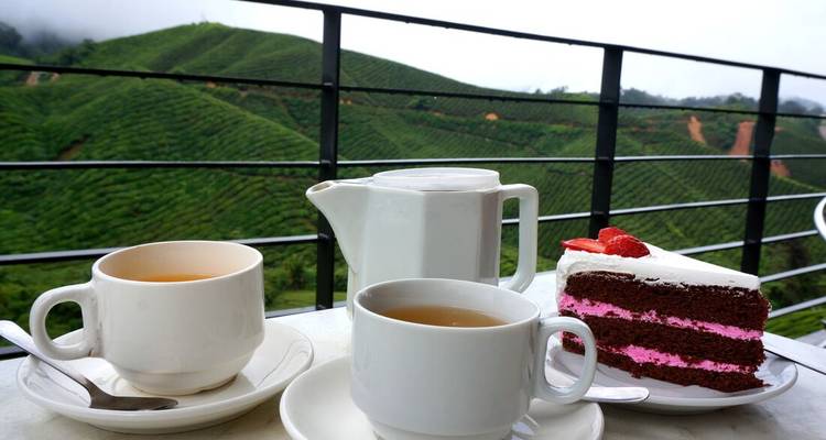 Teacups and a slice of cake on a balcony overlooking a lush landscape.
