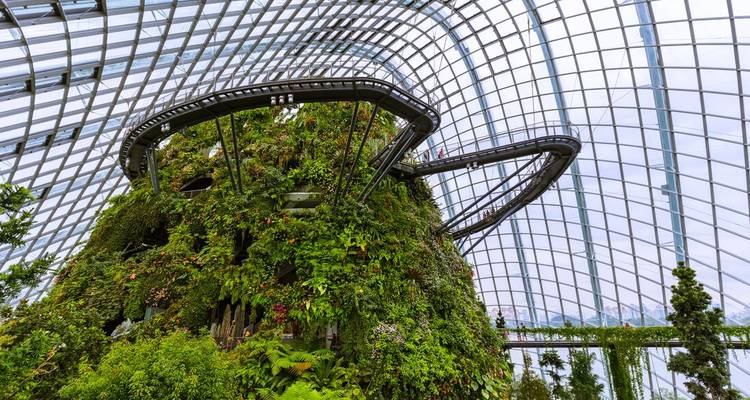 An indoor botanical garden with a man-made mountain.