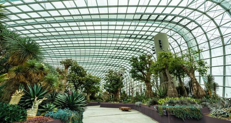 Het interieur van een overdekte botanische tuin met verschillende planten.