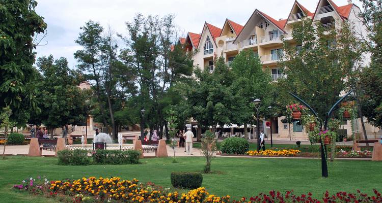 Park with flowers and trees in a town square.