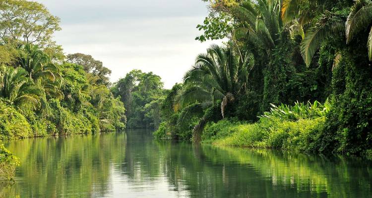 Végétation luxuriante et rivière dans le parc national de Tortuguero.