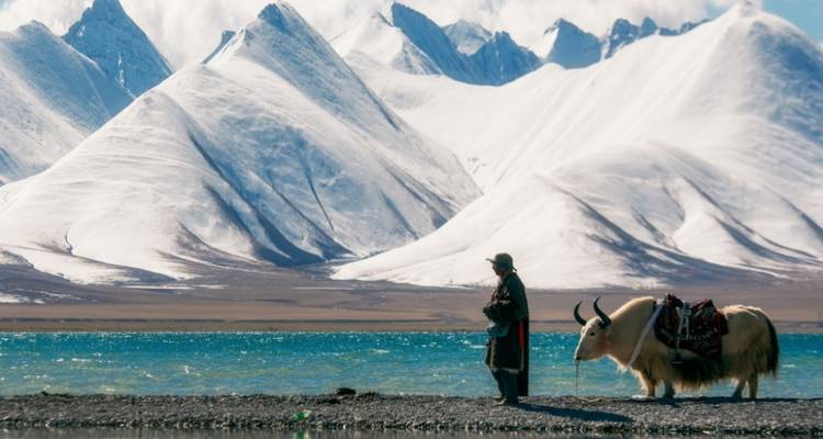 Een persoon met een jak bij een meer, omringd door besneeuwde bergen.
