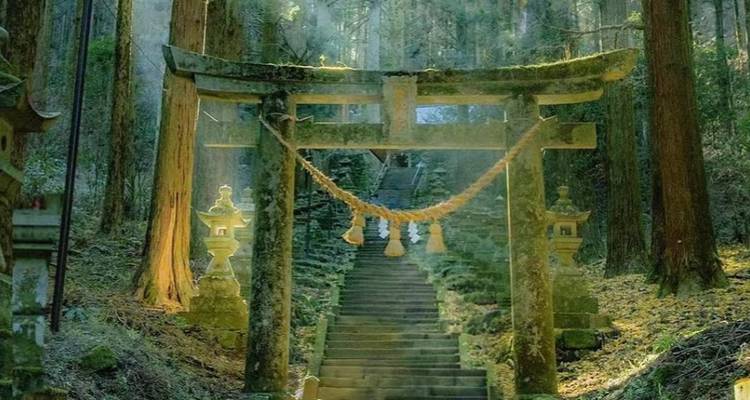 Moss-covered torii gate in a tranquil forest setting.