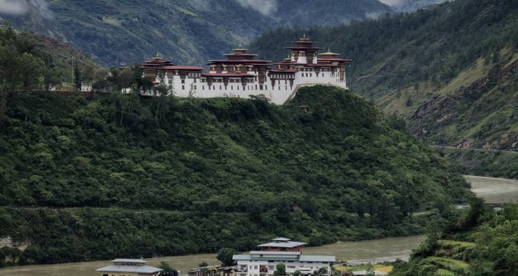 Monasterio Punakha Dzong en una colina rodeado de exuberante vegetación.