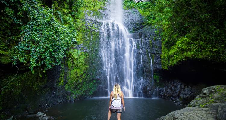 Persoon die voor een waterval staat in een weelderig bos.
