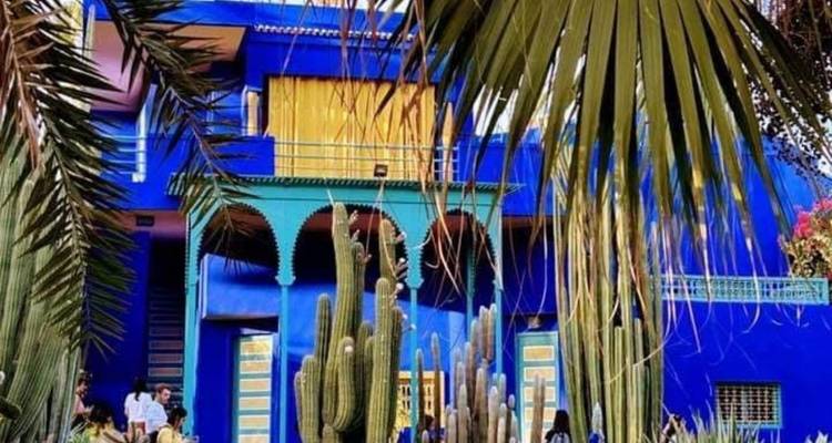 Jardin coloré avec bâtiment bleu vif et plantes de cactus.