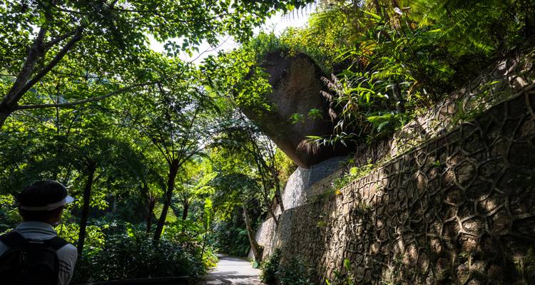 A person walking through a lush jungle path in Malaysia.