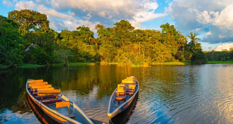 Wooden boats moored on a serene river with dense forests.
