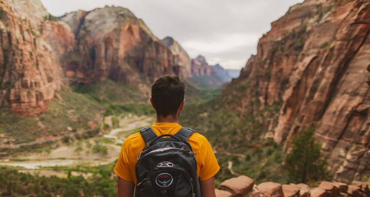 Person with backpack admiring view in Zion National Park.