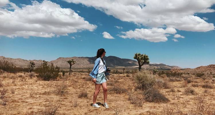 Persoon lopend in woestijnlandschap met Joshua Trees.