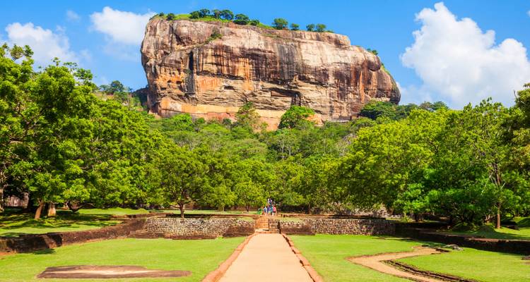 L'emblématique Rocher de Sigiriya s'élevant au-dessus de jardins verts luxuriants et d'une allée droite sous un ciel bleu éclatant.