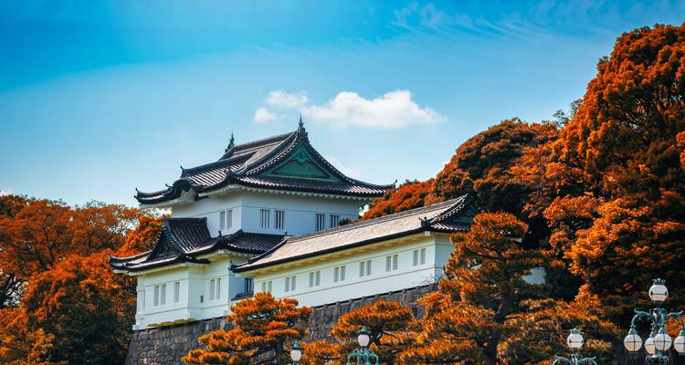 Un castillo japonés tradicional rodeado de follaje otoñal.