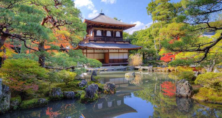 Jardin traditionnel japonais avec un pavillon en bois et un étang.
