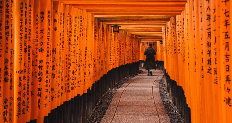 Personne marchant à travers les portiques torii rouges du sanctuaire Fushimi Inari.