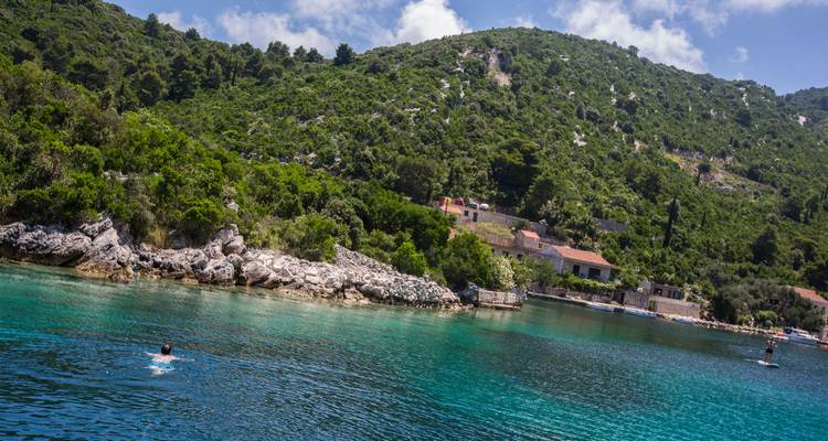 Nageur profitant d'une eau émeraude cristalline à côté du littoral verdoyant d'une île luxuriante