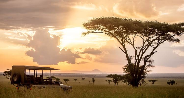 Un véhicule de safari sous un vaste ciel de savane avec un acacia silhouetté par le coucher de soleil.