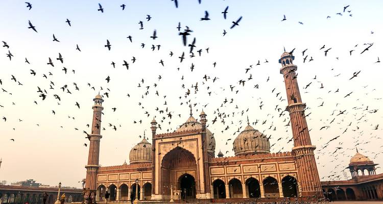 Jama Masjid in Delhi with a flock of birds in the sky.