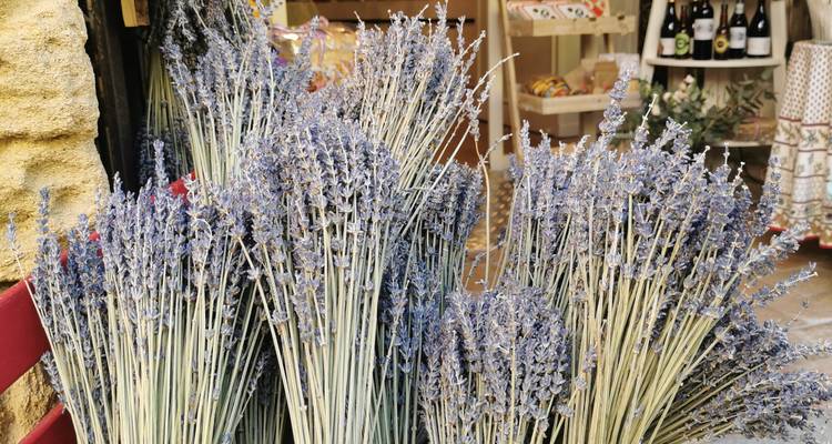 Bouquets de lavande séchée dans une boutique.