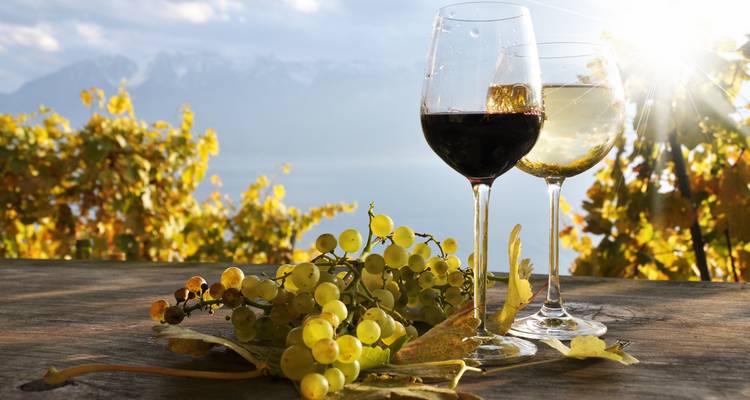 Wine glasses and grapes on a table with vineyard view.