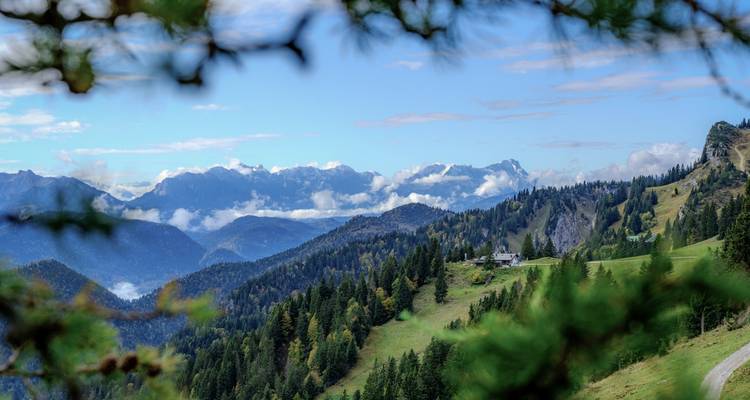 Chaîne de montagnes au loin avec une forêt luxuriante.