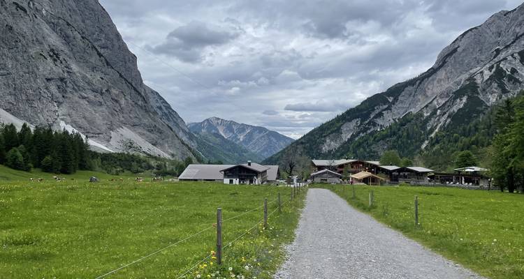 Sentier menant à un pittoresque village de montagne entouré de champs verts.