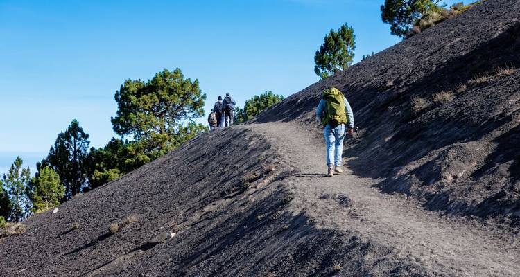 Randonneurs parcourant un terrain volcanique boisé sous un ciel bleu éclatant.