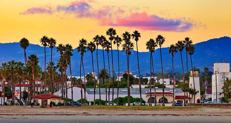 Line of palm trees with pink clouds in the sky.