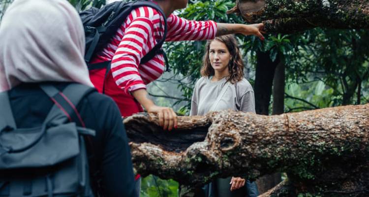 Mensen die navigeren door een bos met gevallen boomstammen.